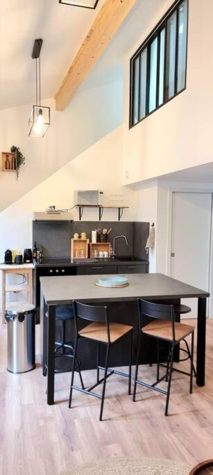 Le Duplex Catherine - Metro - Gare - Wifi * Toulouse